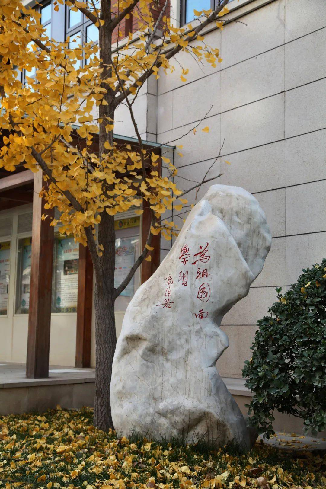 招聘信息北京八中2022校园招聘