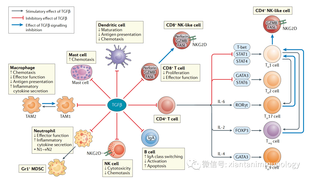 tgfβ抑制8類免疫細胞作用重要成藥困難