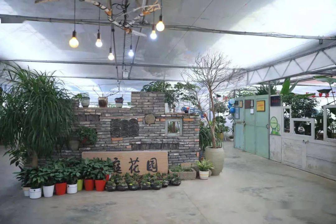 慈溪團建坎墩青庭花園燒烤土灶草坪拓展咖啡書吧蔬果採摘