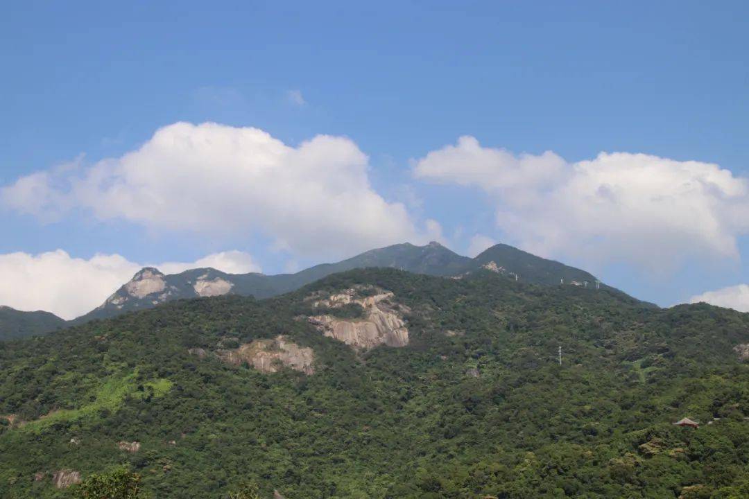 羅浮山群峰林立,花草並茂正是登高健身好時節當下晴好天氣已經沒有了