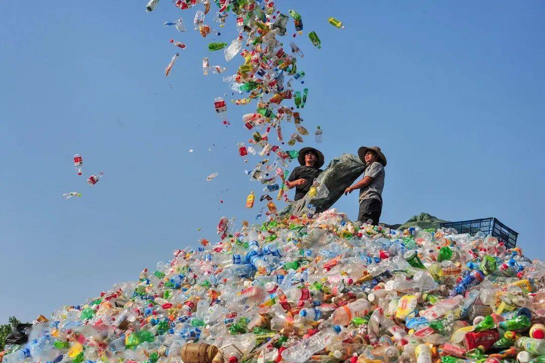 浙江省|2021丽水摄影节 | 《我和地球争呼吸》郑祖林摄影作品展