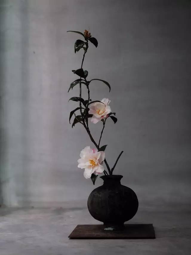 花韵 静与净 茶道