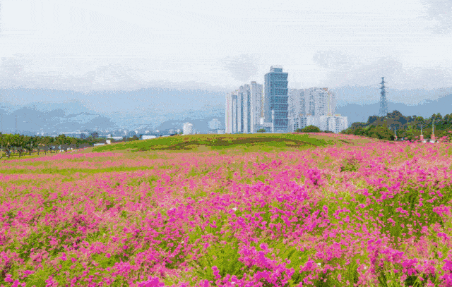 640_407gif 动态图 动图