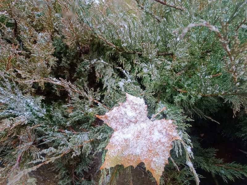 空气|今冬第一场雪进山了！怀柔琉璃庙雪花飘洒而下