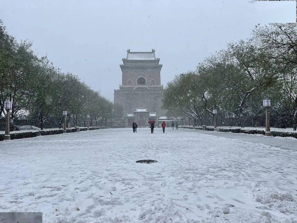 大雪|一片两片三四片，飞入你我眼里边……