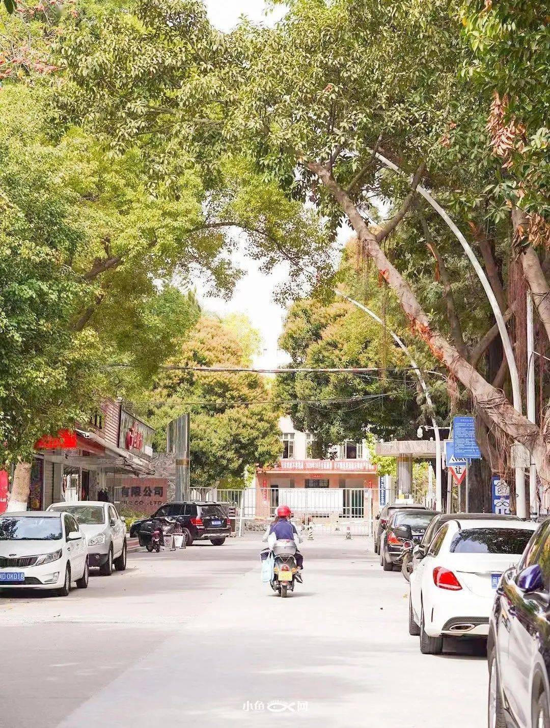 再见杏林区再见老工业区风雨63年拆迁改造背后藏着无数厦门人的苦与甜