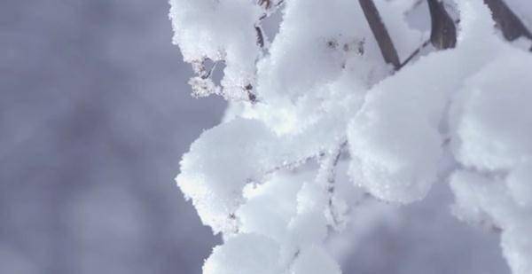 曾家山|今日立冬，四川这些地方下雪了 ！