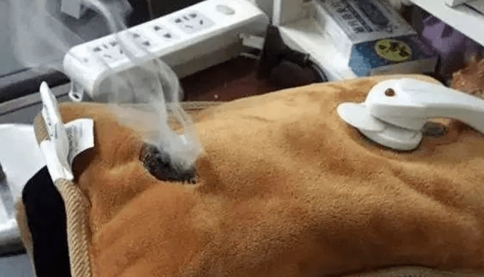 双脚|天冷就脚凉？3秒速热取暖，还可抑菌除味，有了这个暖脚神器，零下温度都不怕！