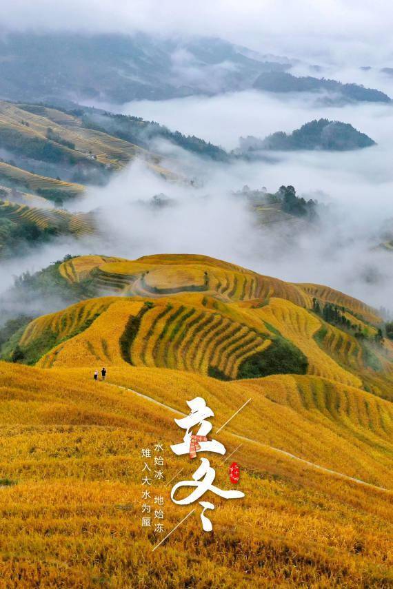 朔风|报节气|朔风雨雪伴冬来
