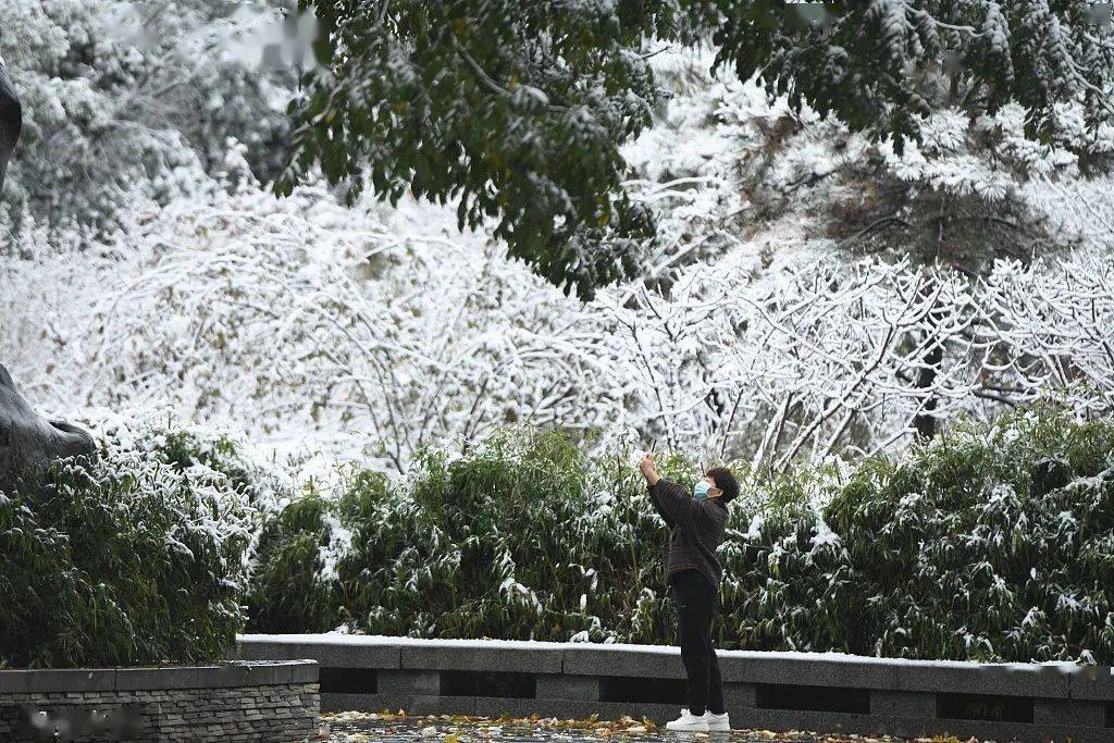 大雪|雪，一片一片一片一片......