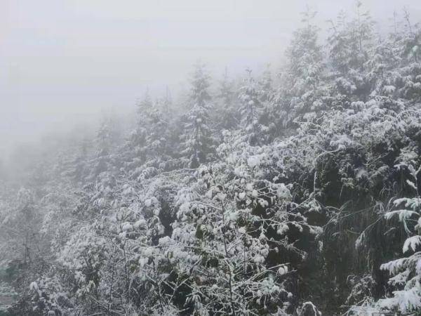 曾家山|今日立冬，四川这些地方下雪了 ！