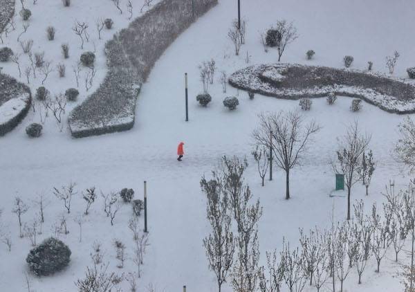 李长青|河北秦皇岛：冬日雪景美如画