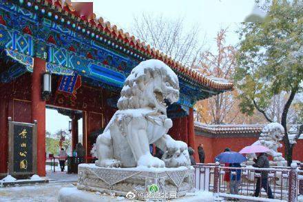 秋色|立冬初雪 北京市属公园美翻天！