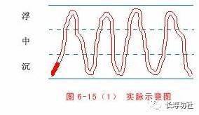 中医脉象图,中医把脉原理揭秘,图解易懂_左手