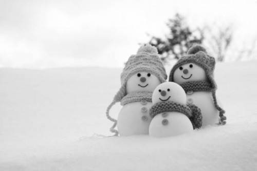 生姜羊肉汤|立冬来了 养生保健请做好“三方面”