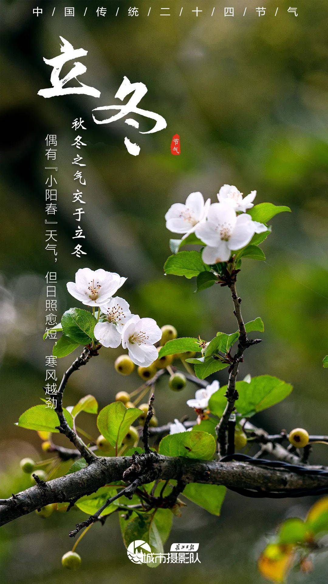 今日立冬迎寒而立拥抱冬天