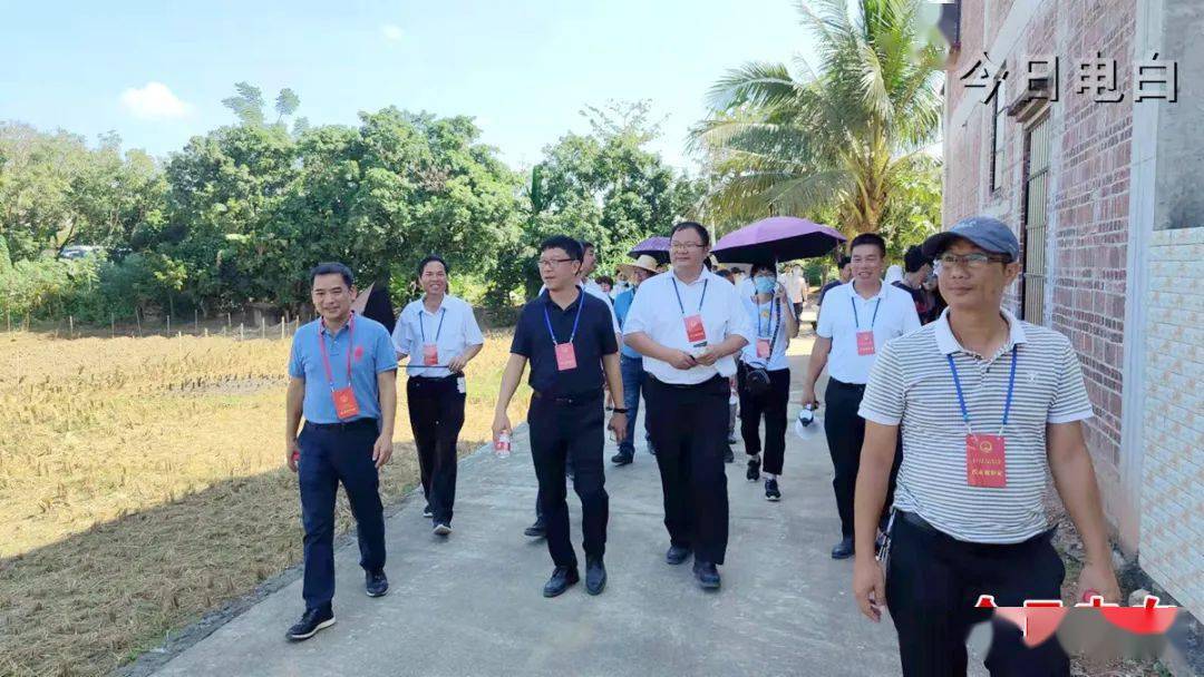 提升农村人居环境整治工作实效,11月7日,电白区人大常委会组织部分区