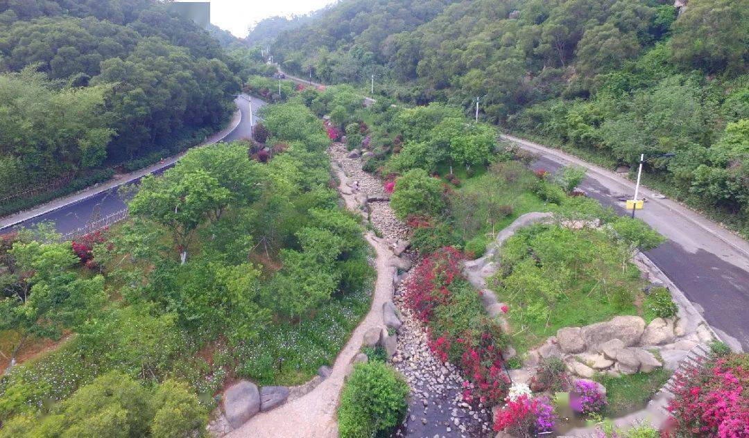 文曾路要尽量保持生态公路的特色