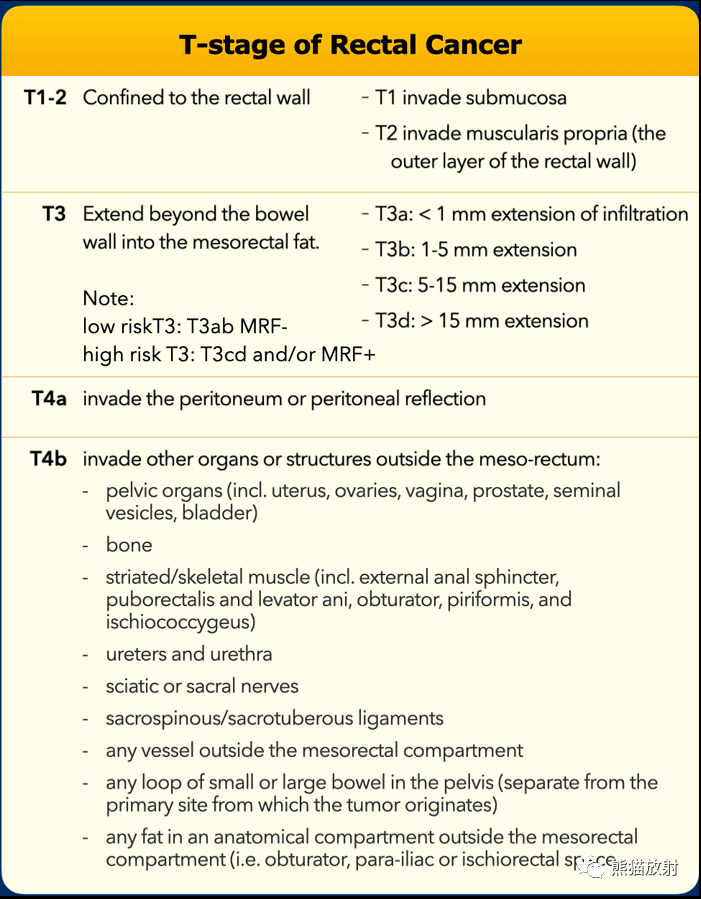 peritoneal cavity图片