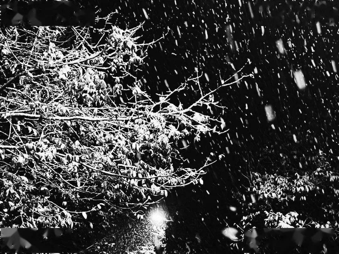 年年落雪 落雪年年 慢慢即漫漫_雪花