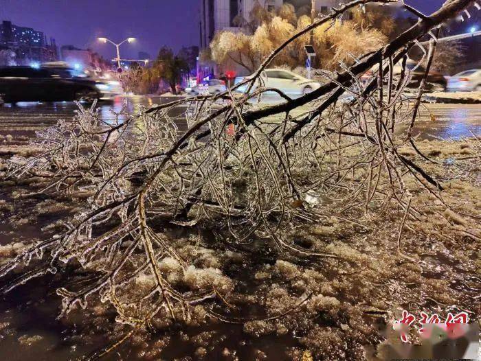 寒潮|暴雪下的东北，无法喘息