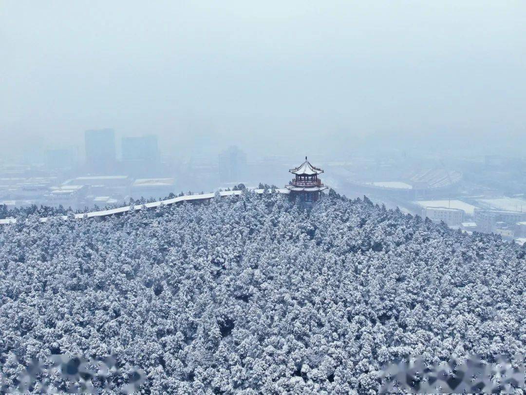 济南|一下雪，济南就成了济南府。