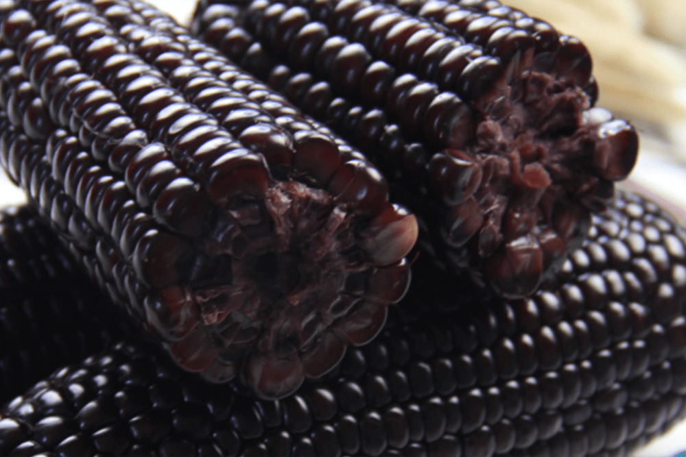 面包|吃货必备!5款好吃解馋还不长肉的小零食!