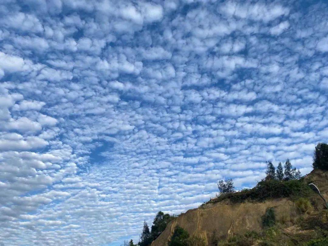 美哭了冷空气突袭平潭天空现龙鳞云奇观