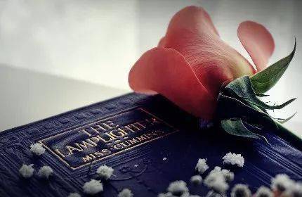 高中英语阅读理解各题型破关攻略 快来学习吧 Theme