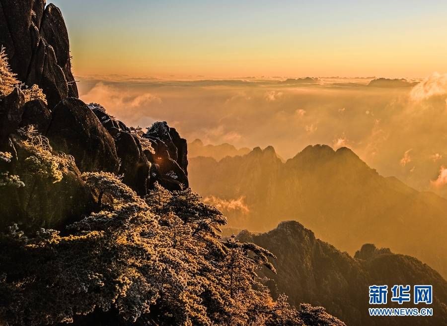 景区|初冬这一场雾凇，让黄山秒变琉璃世界