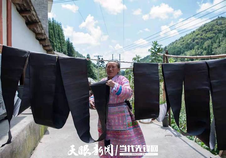 【四新四化蹲点采访】百里杜鹃管理区金坡乡锦星村：青山变金山，苗绣变产业