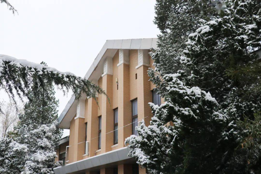 内蒙古大学雪景图片