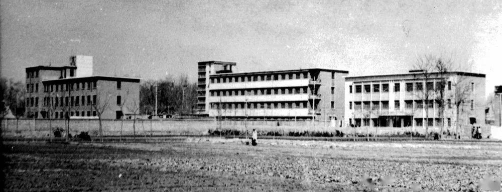 新郑记忆这些老照片让人动容快来参加征集活动啦