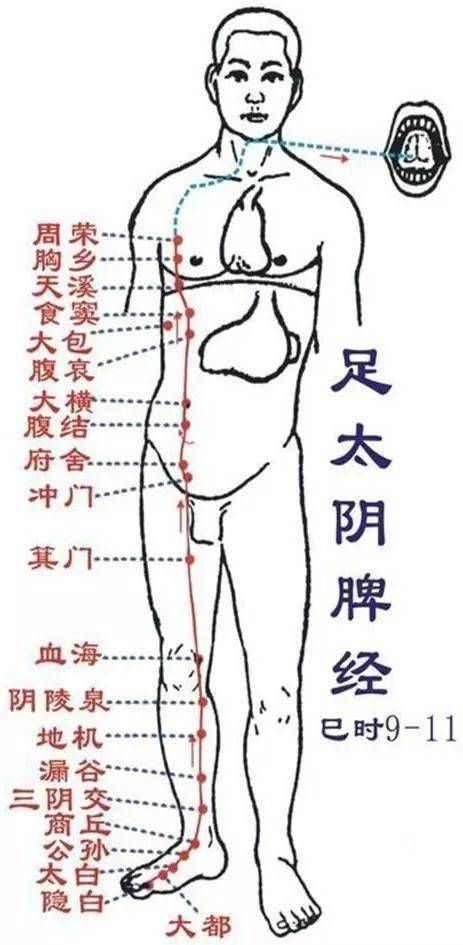 第四条:脾经2, 渊穴:质量乳腺增生,肋间神经痛,腋窝出汗