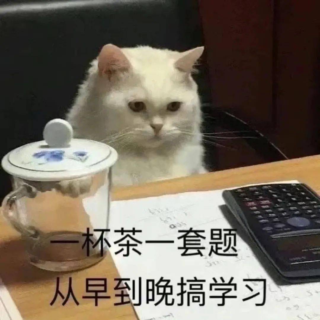 卷王出没ecust的同学们被卷了吗