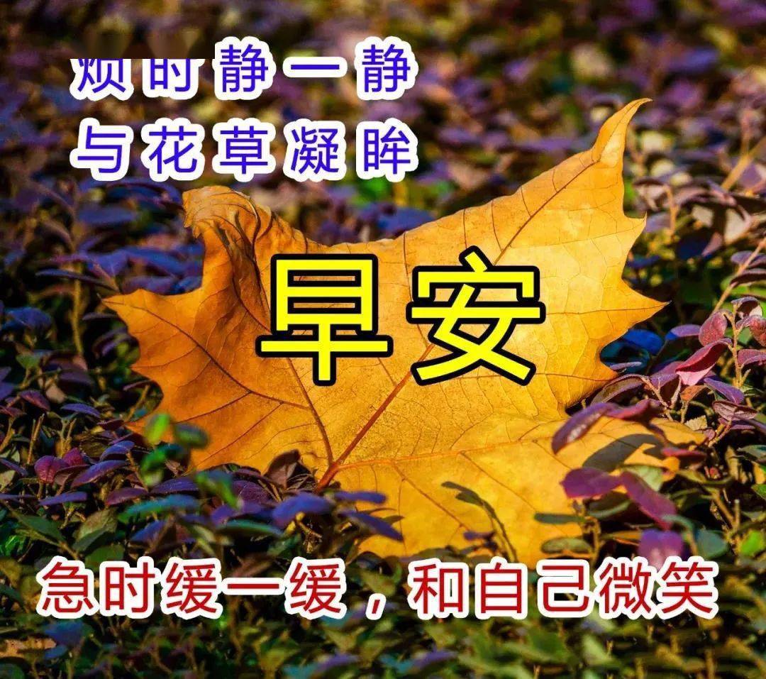 微信群發清晨給大家早上好表情圖片 初冬早安問候語溫馨短句配圖片