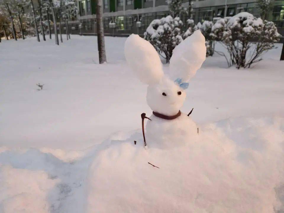 瓶蓋裝點後的小雪人們也被寄託了各種各樣的心願於是一個個的小雪人被