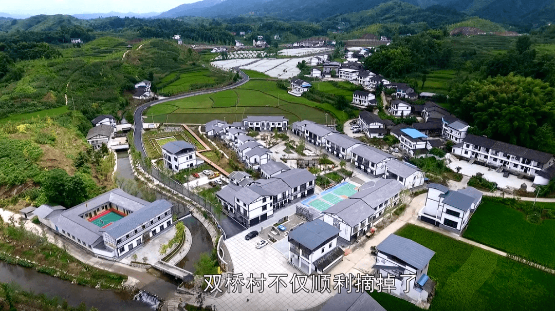 中华银杏谷位于万家镇境内,是西南地区规模最大,也是最具特色的银杏