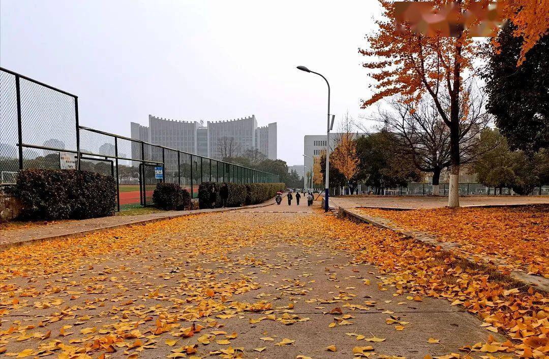 巢湖学院 风景图片