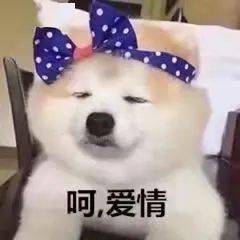 老婆|【聊天室】麻醉没清醒时的迷惑行为，好家伙这是麻倒了还是喝多了？