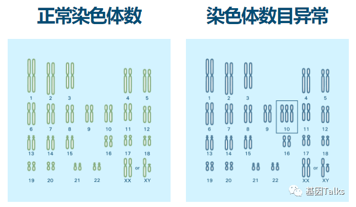 每一个健康的人都有46(23对)条染色体,当一个胚胎细胞有这一整套
