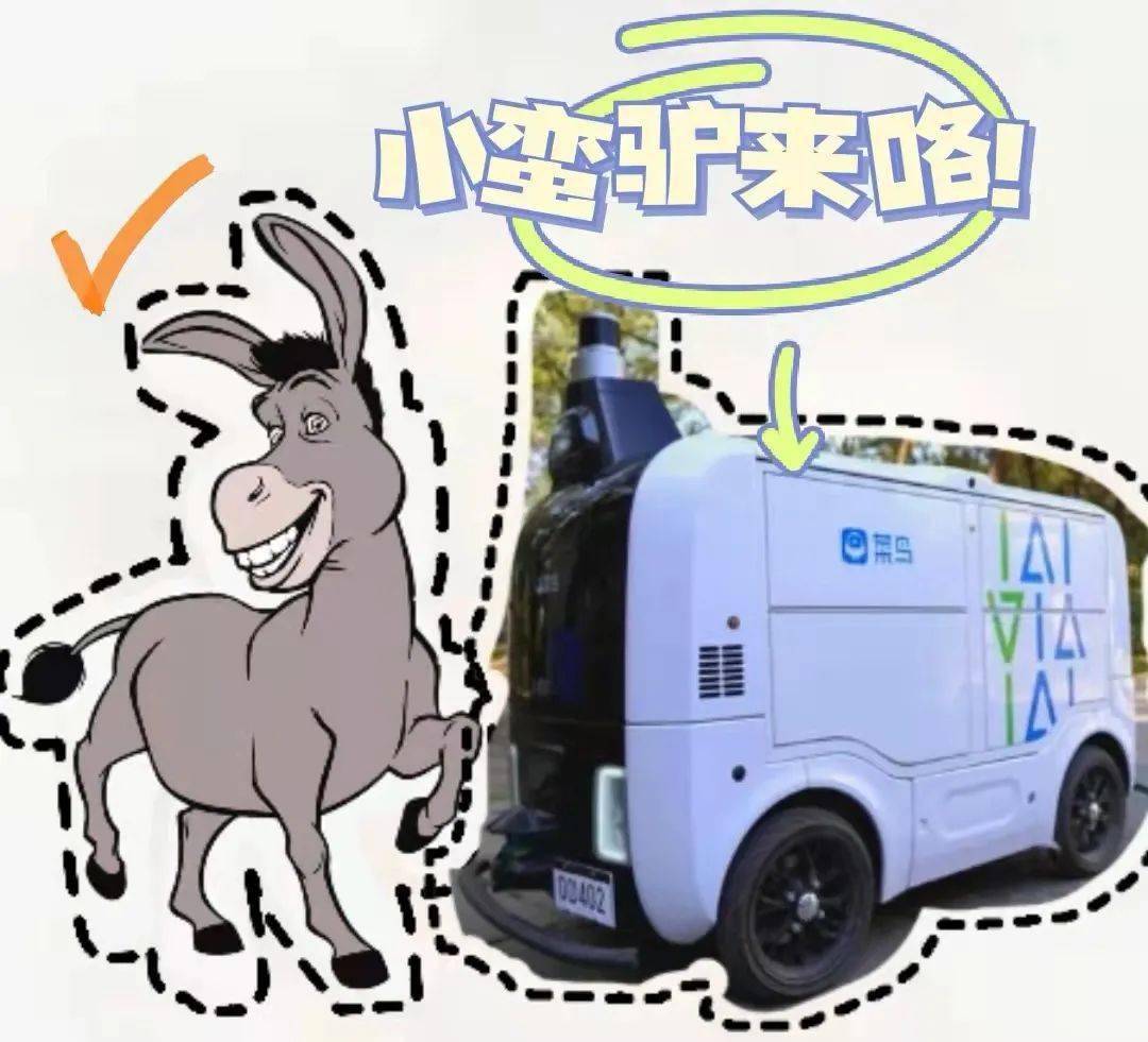 小蛮驴的双十一搬砖日常