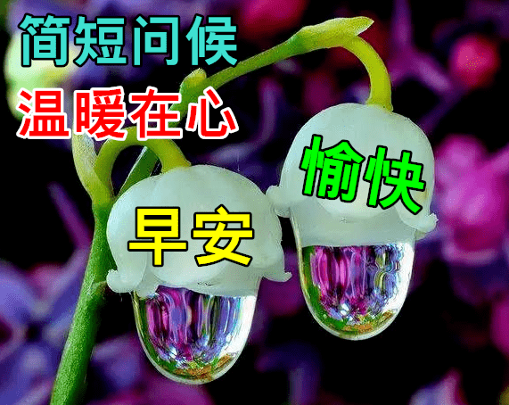 11月11日最漂亮早上好动态表情图片大全早安问候美图大全