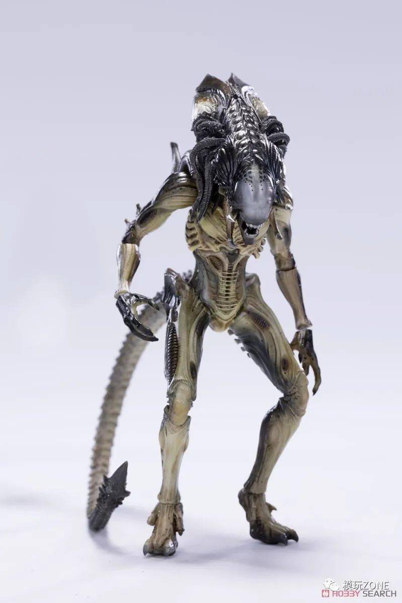美系hiyatoys新品118异形大战铁血战士2铁血异形可动人偶