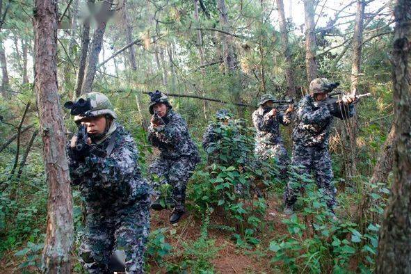 沙场点兵看铁骑猛虎威震南疆