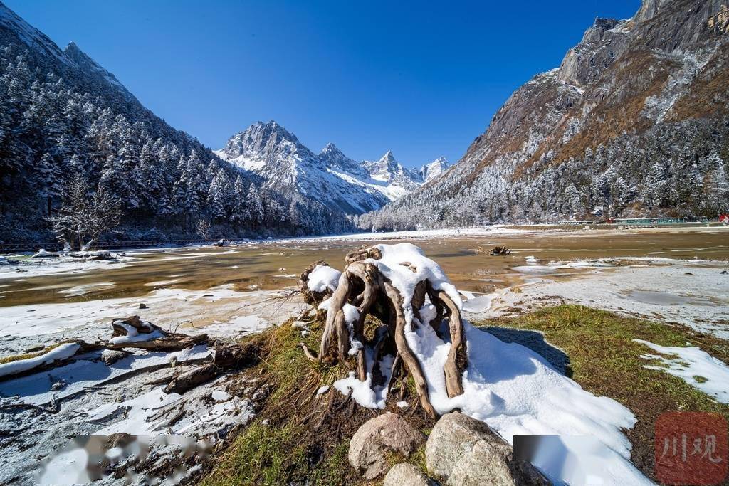 景区|如诗如画！来看毕棚沟初冬雪景大片