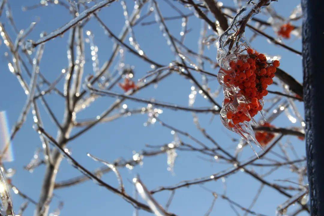 今日關注雪花飄飄北風蕭蕭