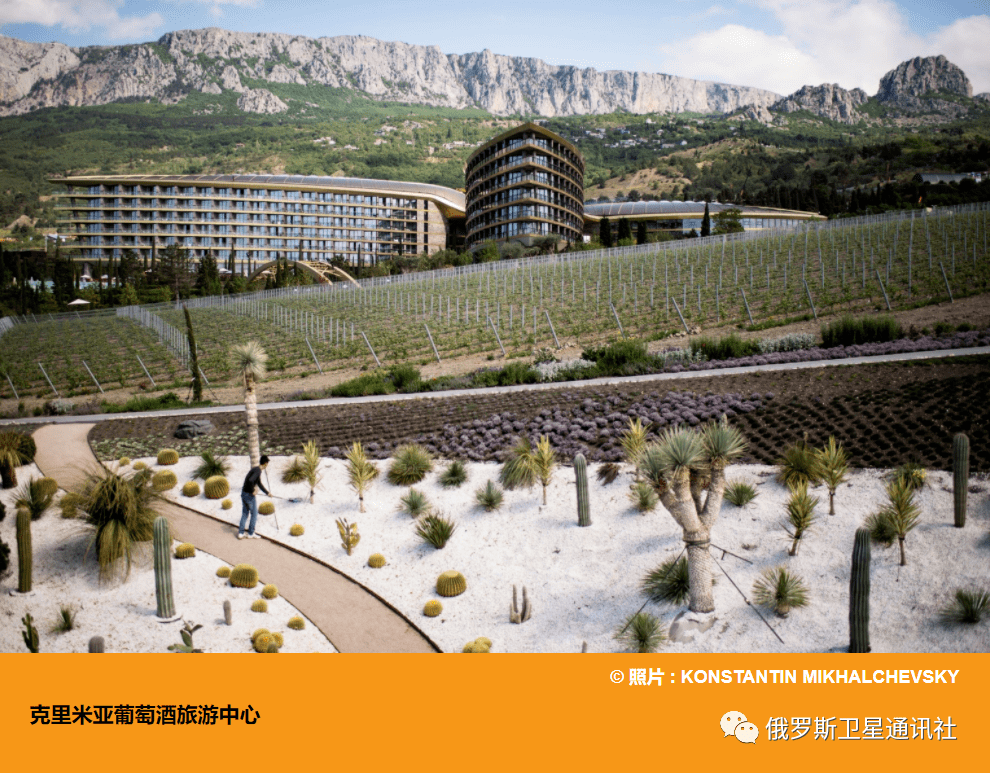 饮品|俄罗斯能酿造出优于法国的葡萄酒吗?