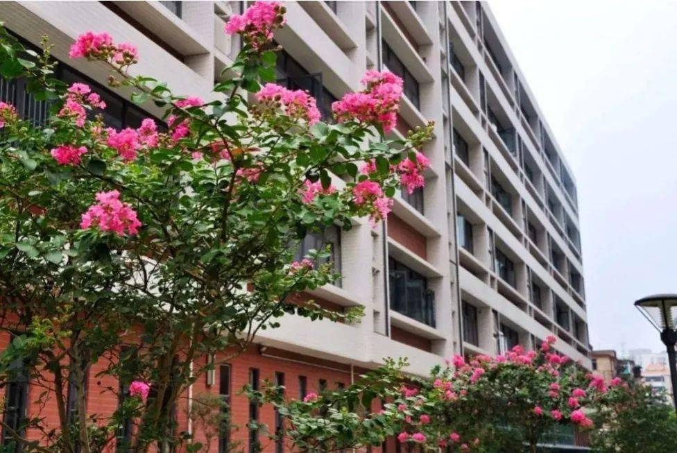 广州高中十大校花新鲜出炉!评选标准不止看脸.