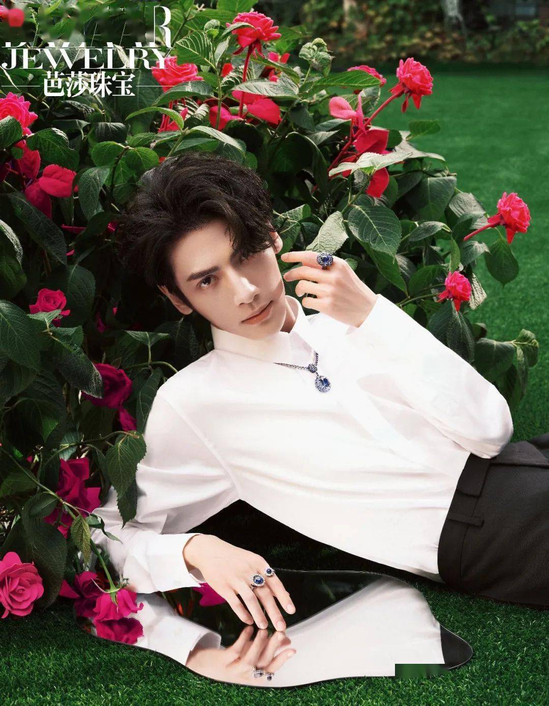 封面明星|罗云熙探访神秘玫瑰园